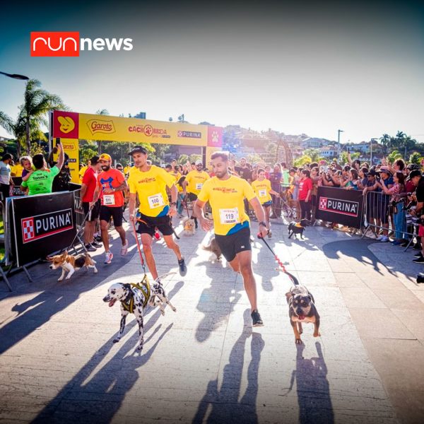 Corre com seu pet: confira os cuidados necessários para a atividade